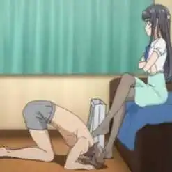 西檬之家s属性是什么?字母圈新手必看指南! 一