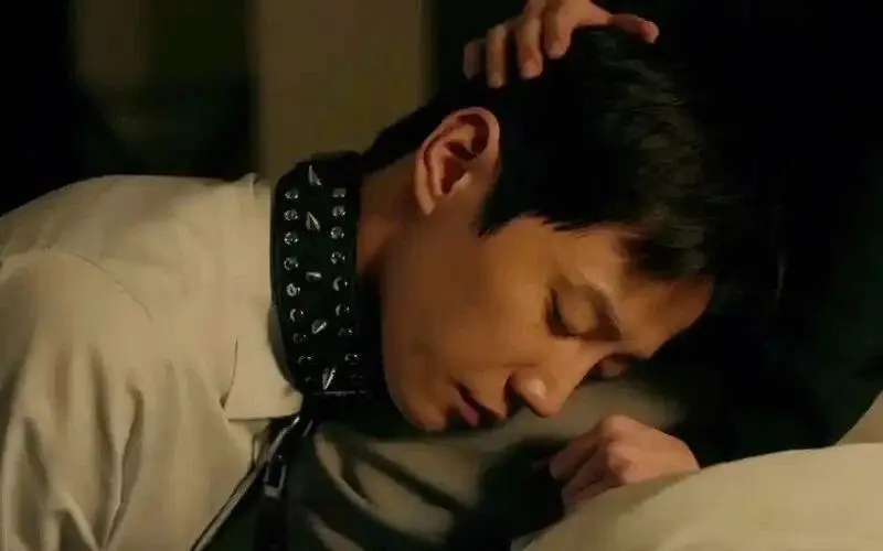 西檬之家ds关系是什么?这一字母圈的秘密你了解吗? 一