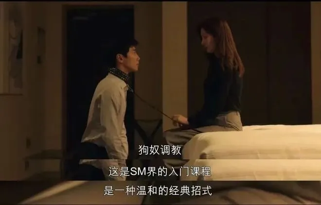 西檬之家字母圈的s属性是什么? 一