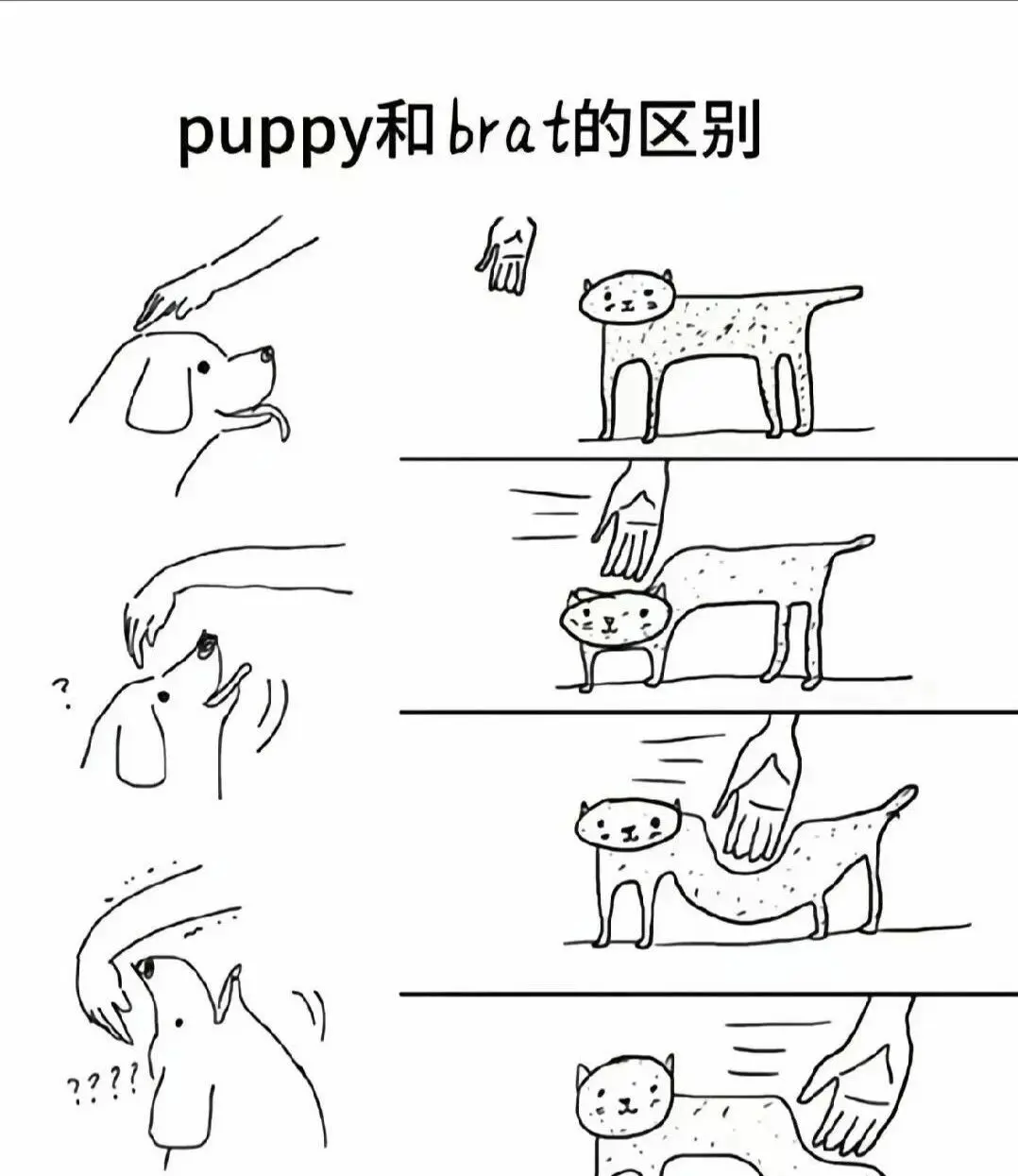 西檬之家K9是什么?字母圈新人必读 一