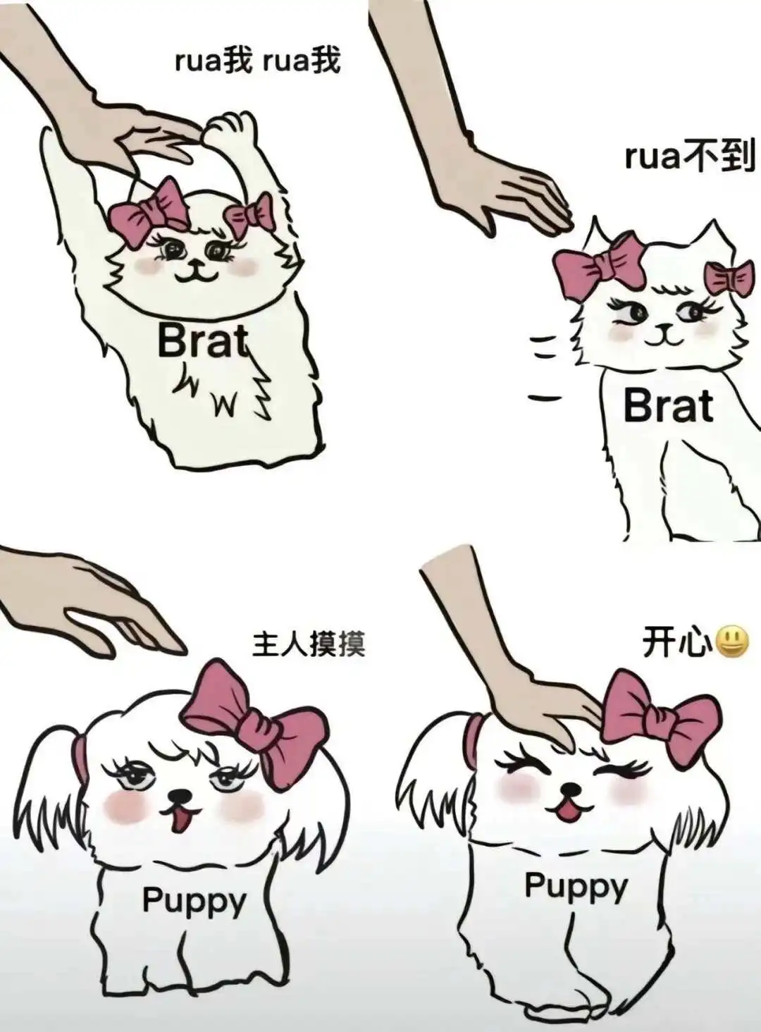 西檬之家斯慕圈新手入圈指南 一
