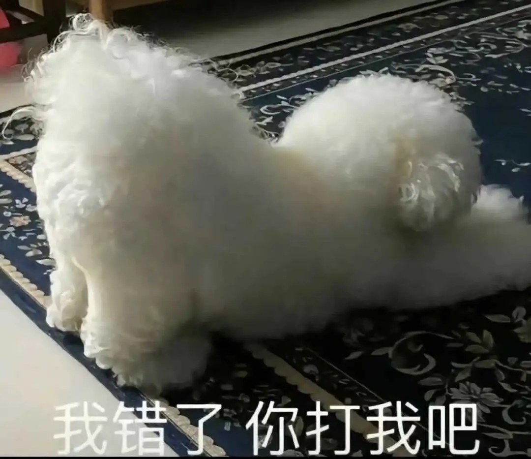 西檬之家k8是什么? 一