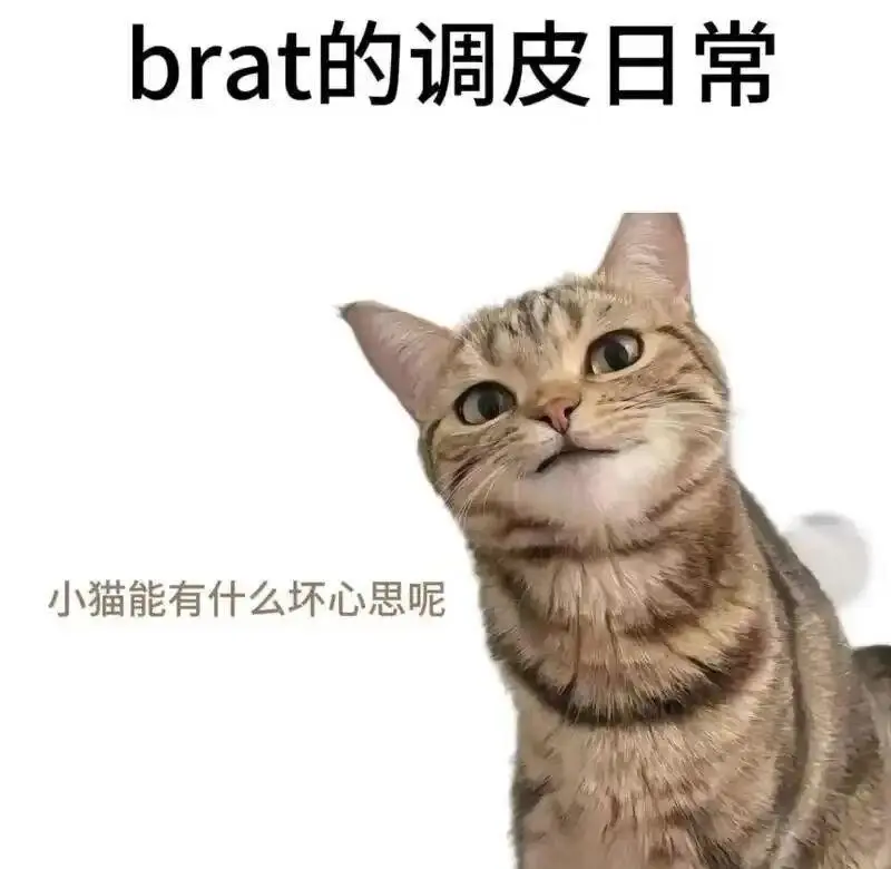 西檬之家字母圈管教是什么意思? 一