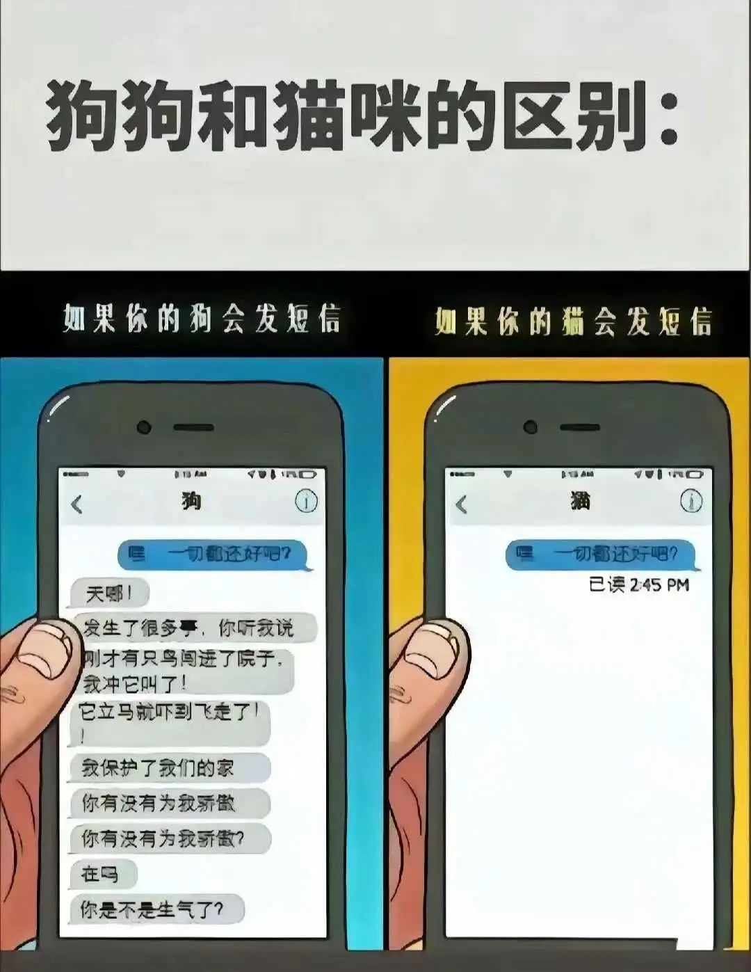 西檬之家Sub是什么?字母圈新人必懂 一