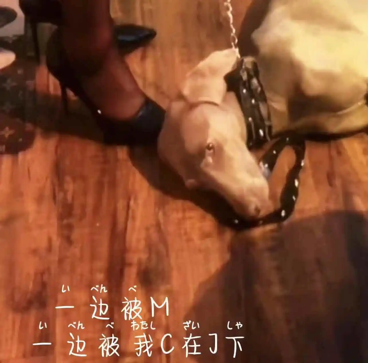 西檬之家字母圈Dom是什么意思 一