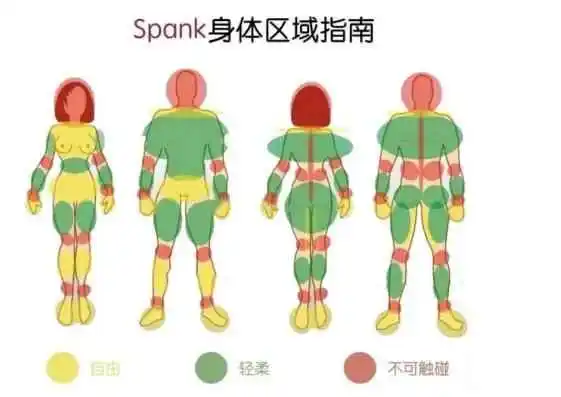 西檬之家你是s属性吗?字母圈小圈人如何判断 一