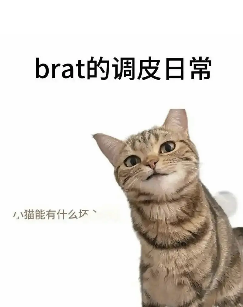 西檬之家字母圈入圈指南:新人如何正确开启这段关系? 一
